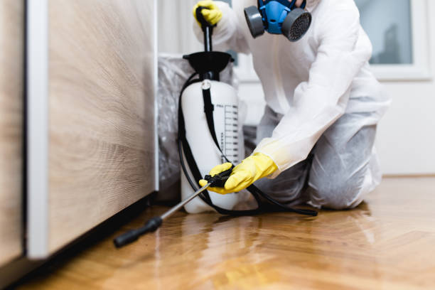 Best Cockroach Control Services  in Lake City, PA