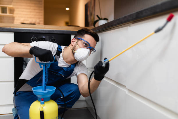 Best Local Pest Control Services  in Lake City, PA