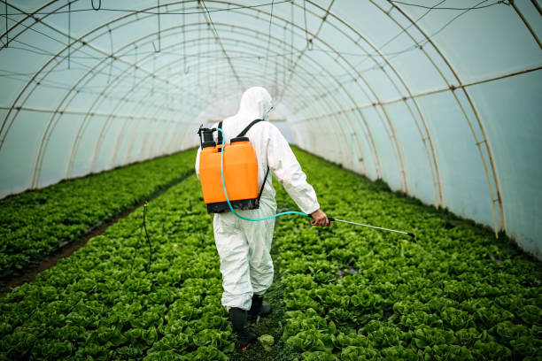 Best Pest Control Cost  in Lake City, PA