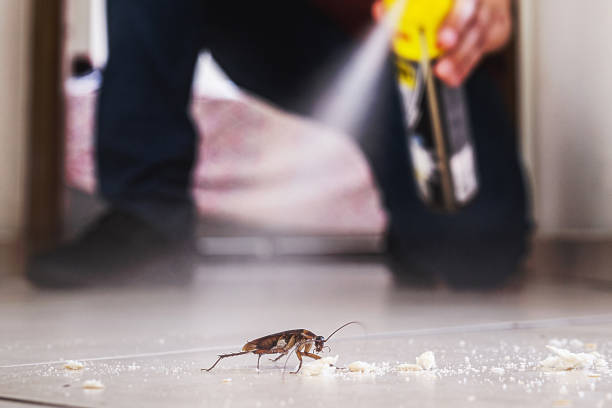 Trusted Lake City, PA Pest Control Experts
