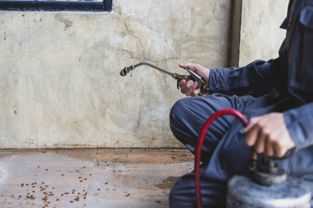 Best Pest Removal Services  in Lake City, PA